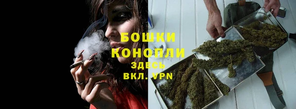 ешки Ладушкин