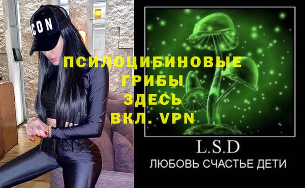 ешки Ладушкин