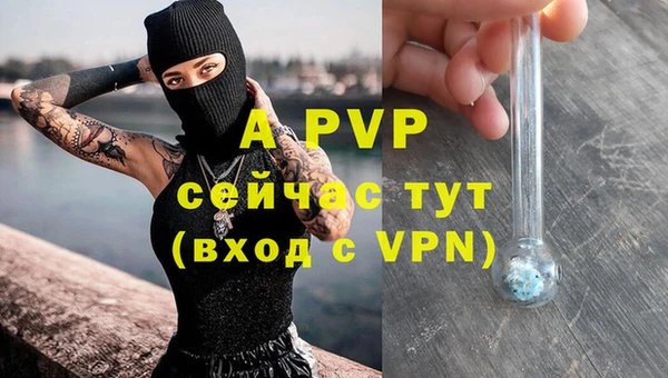 молекула духа Куйбышев