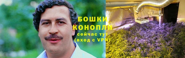 ешки Ладушкин