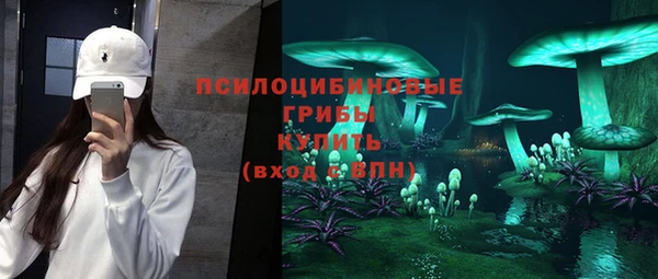 ешки Ладушкин